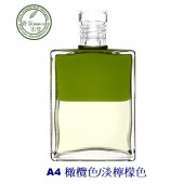 《香氛市集》Aura-Soma 靈性彩油瓶平衡油~鍊金瓶A4